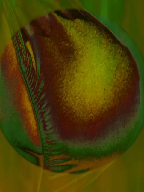 Artwork by June LaVonne, no. 30304