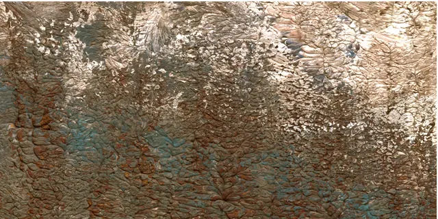 Artwork by June LaVonne, no. 30431