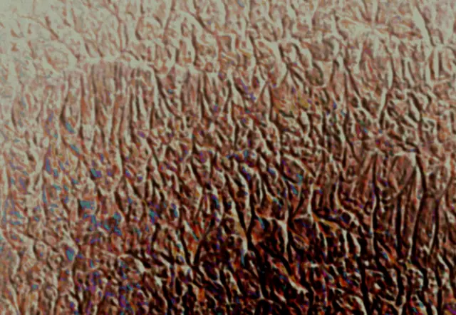 Artwork by June LaVonne, no. 30442